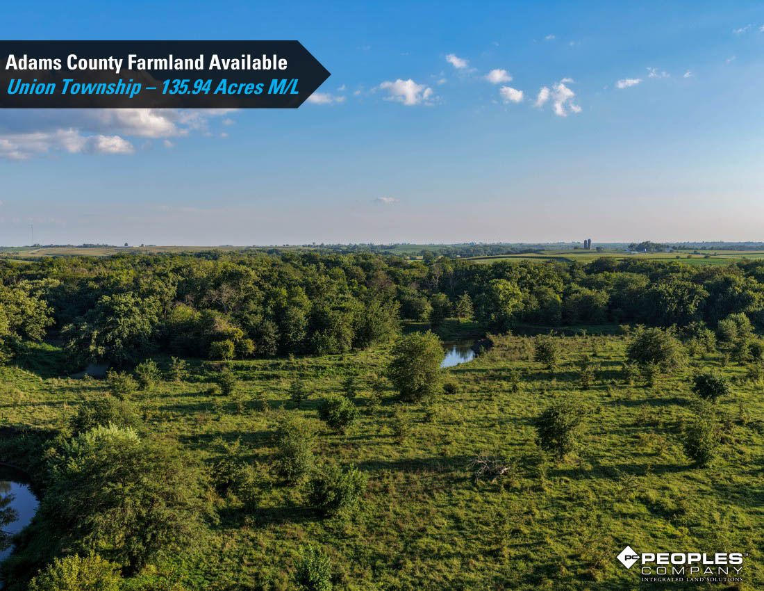 Listing Photo: Adams-County-Iowa-Farmland-Available-136-Acres-Blazek-Estate-19707 (3)